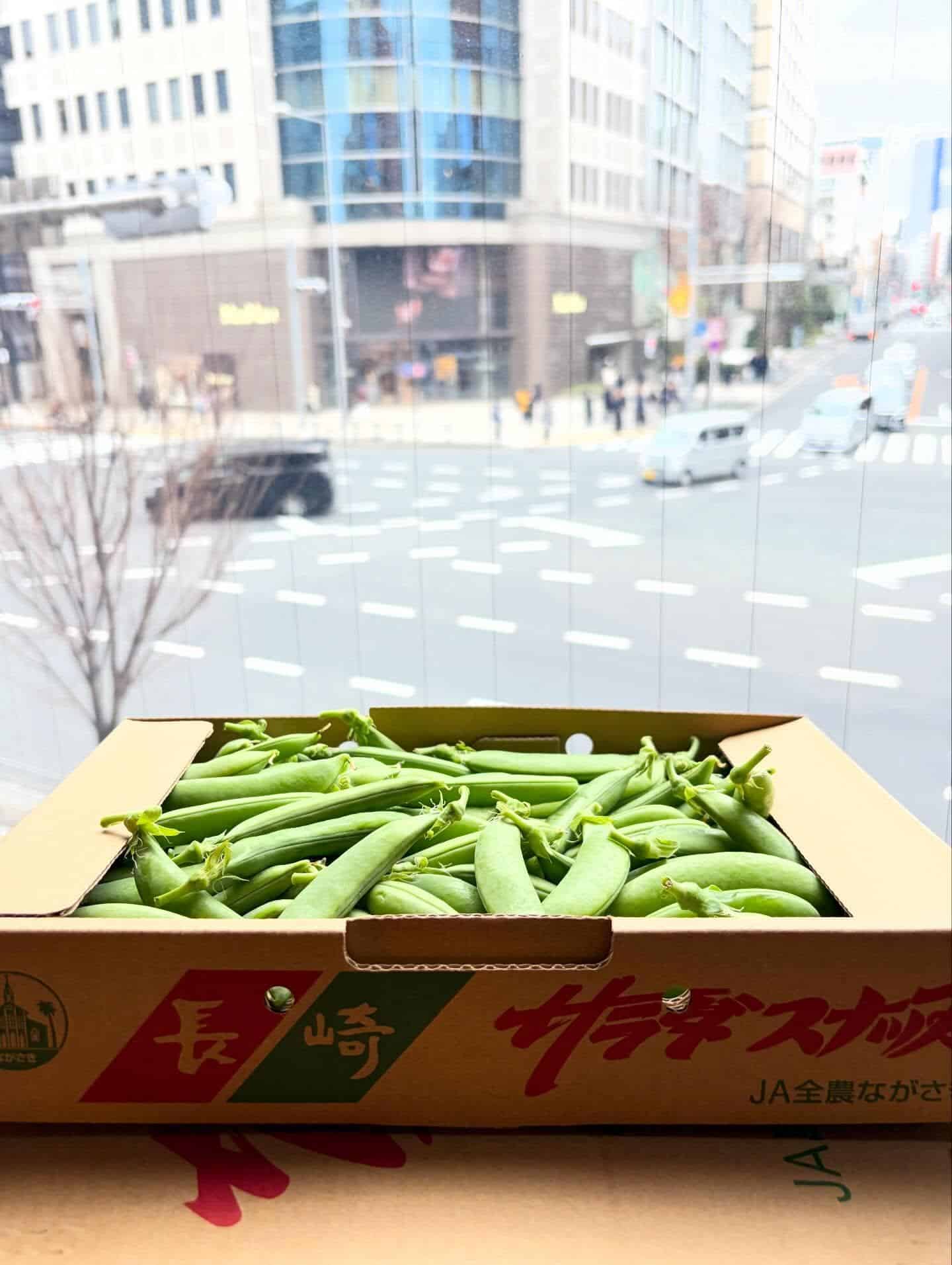 青山の居酒屋で焼き鳥と春の味覚|本日の一皿【旬のスナップえんどう】