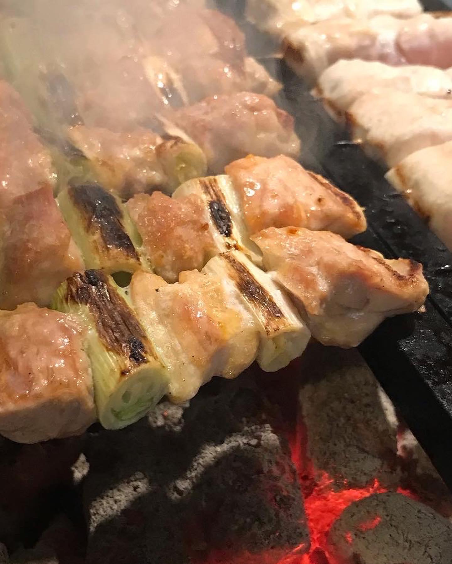 本日は青山通りの焼き鳥にしませんか？《ひごの屋 青山本店》